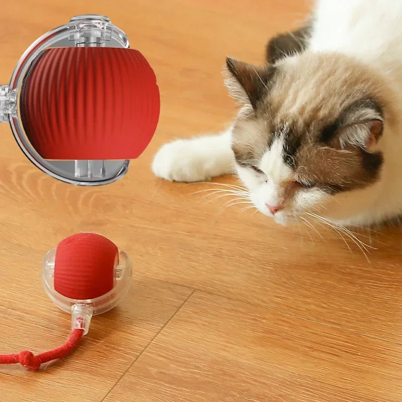 PurrGloo Interactive Cat Ball Toy