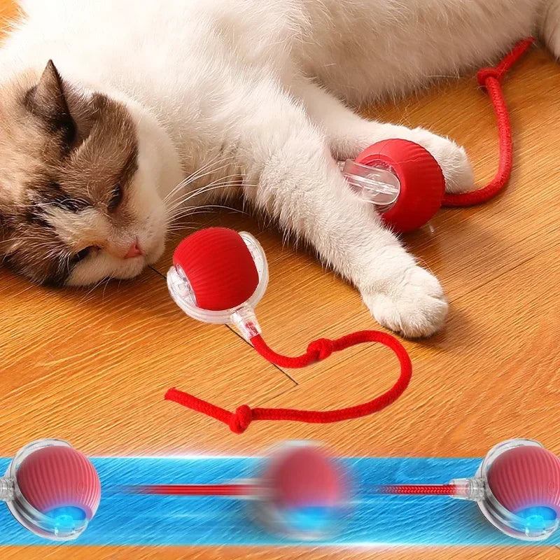 PurrGloo Interactive Cat Ball Toy