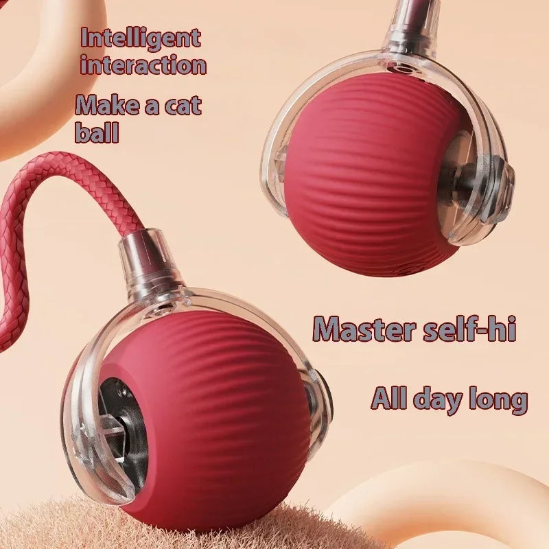 PurrGloo Interactive Cat Ball Toy